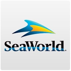 SeaWorld Orlando - 1 visita - Promoção Relâmpago 40% Off